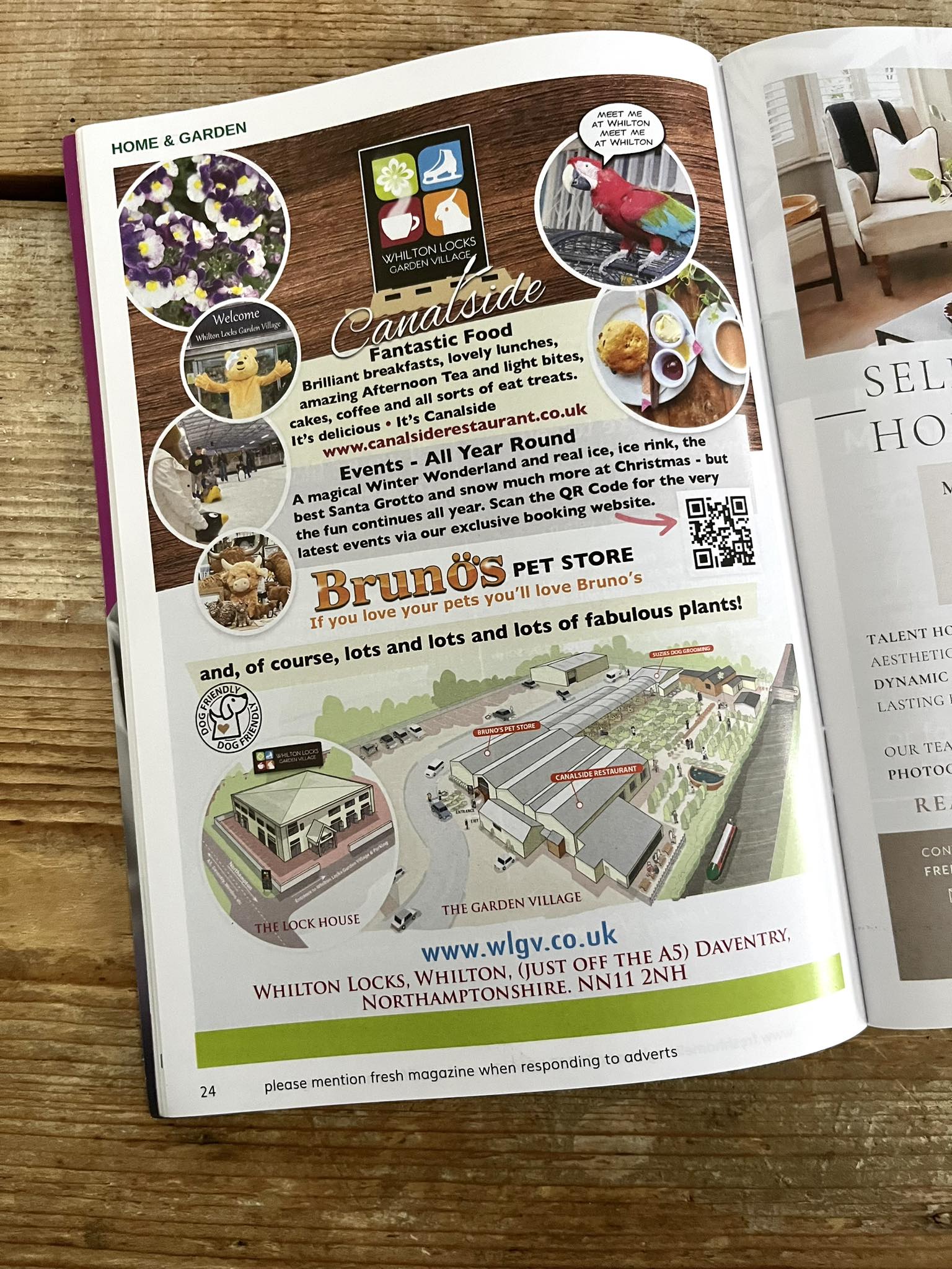 Fresh magazine rugby