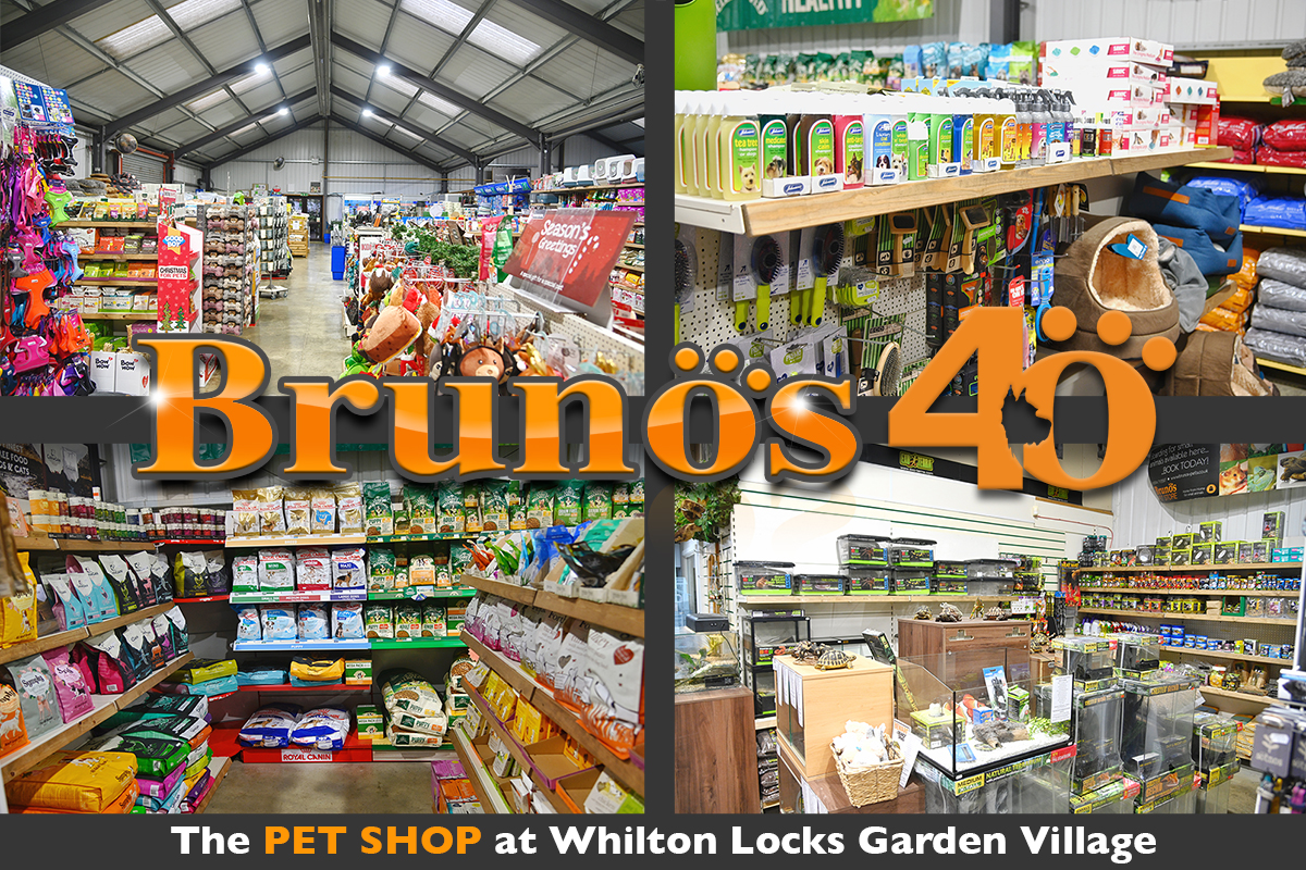 Bruno’s Pet Shop