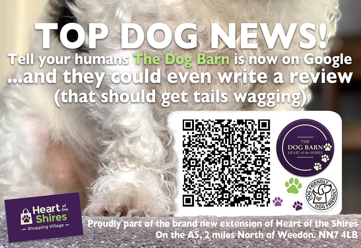 the dog barn heart of the shires