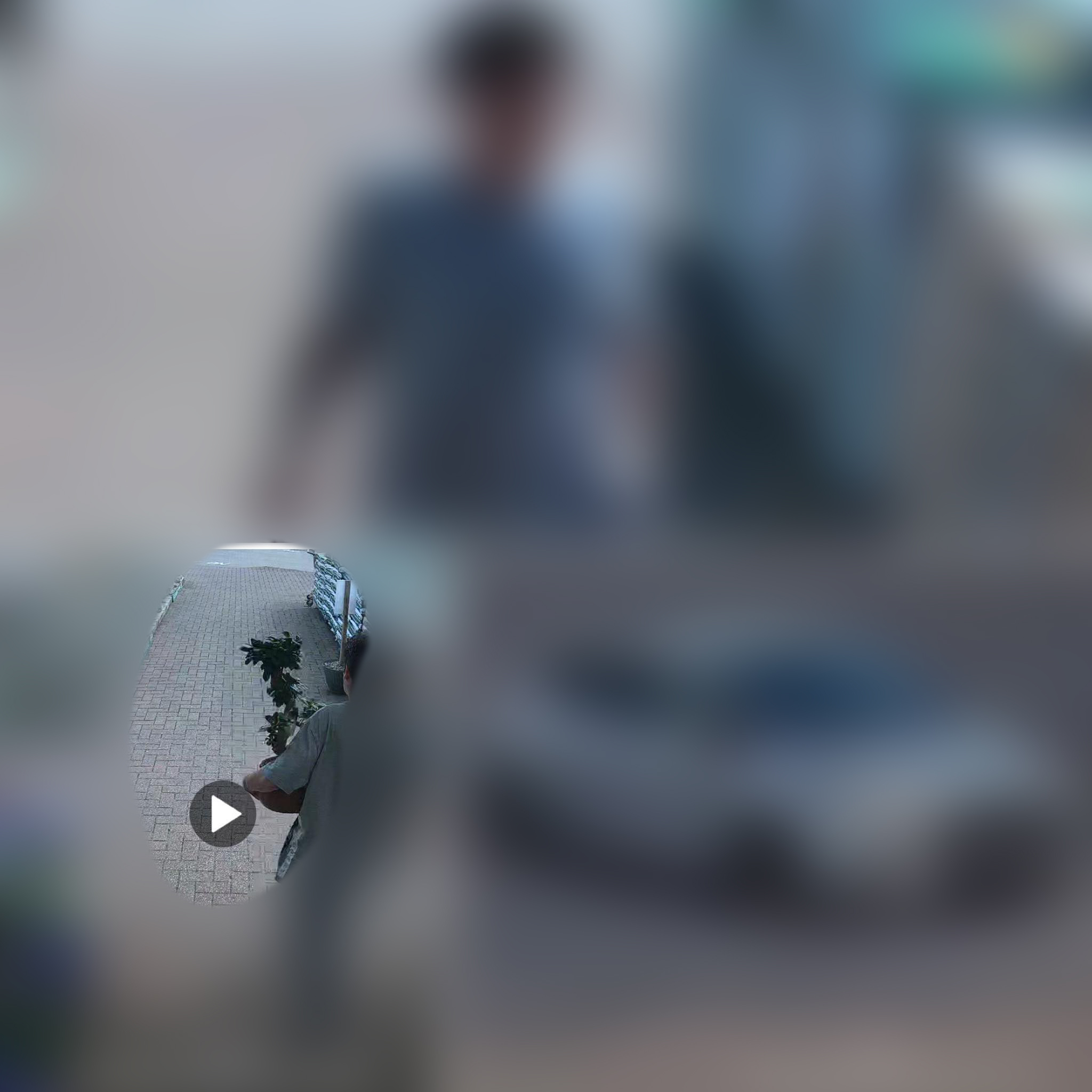 theft blurred