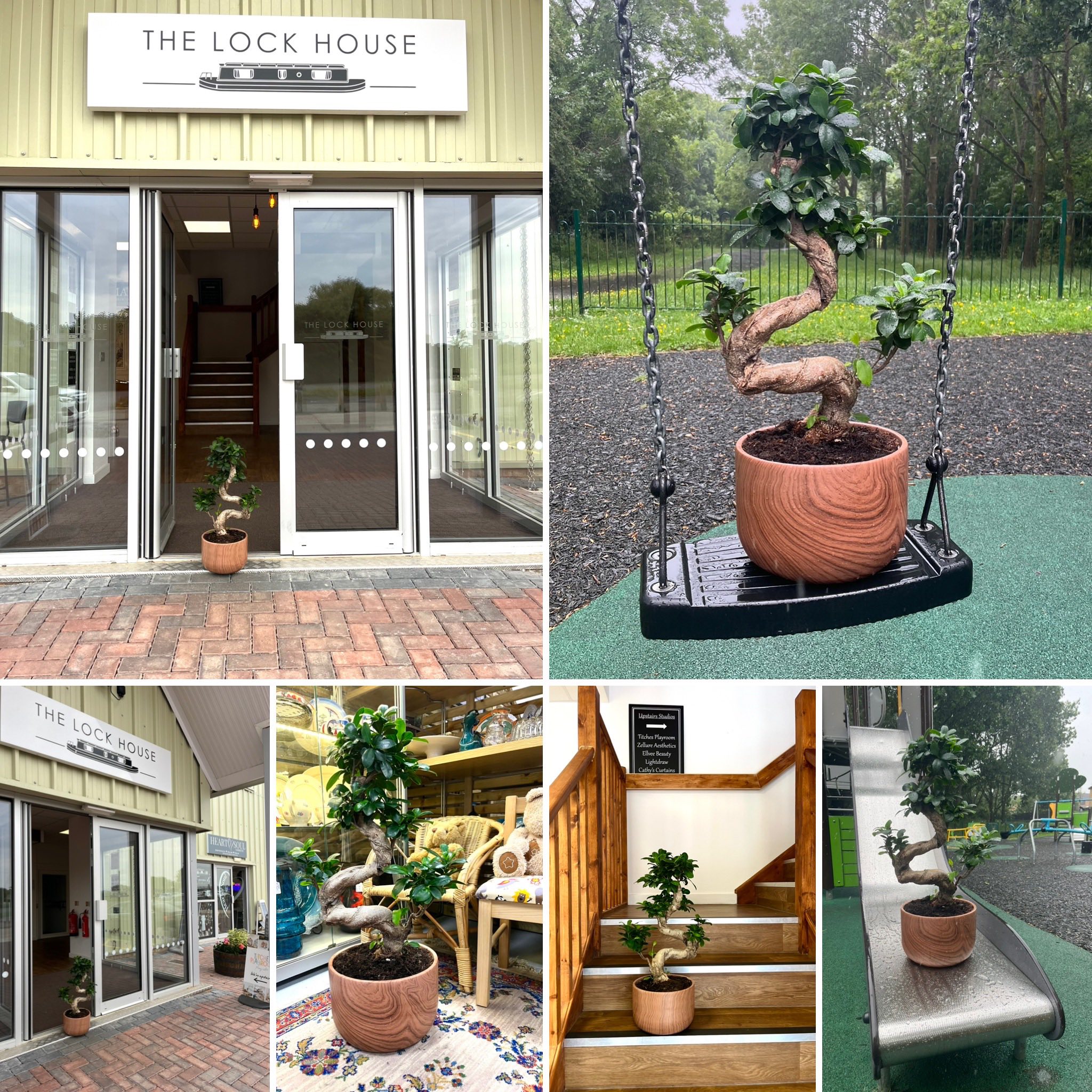 whilton locks garden centre