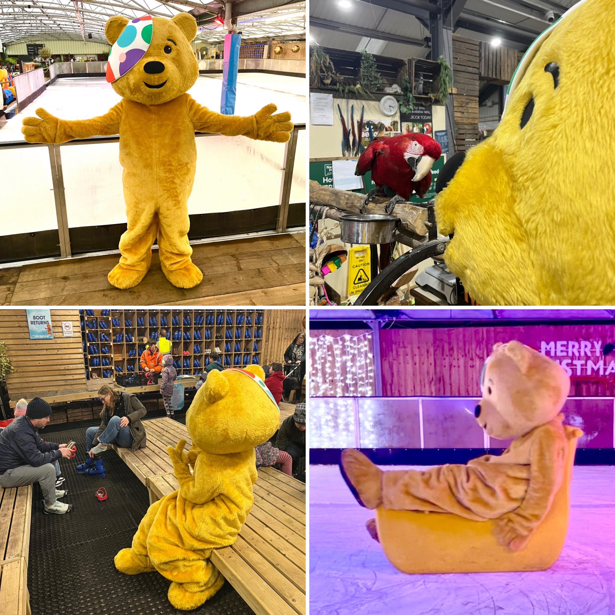 children-in-need-at-whilton-locks-garden-centre