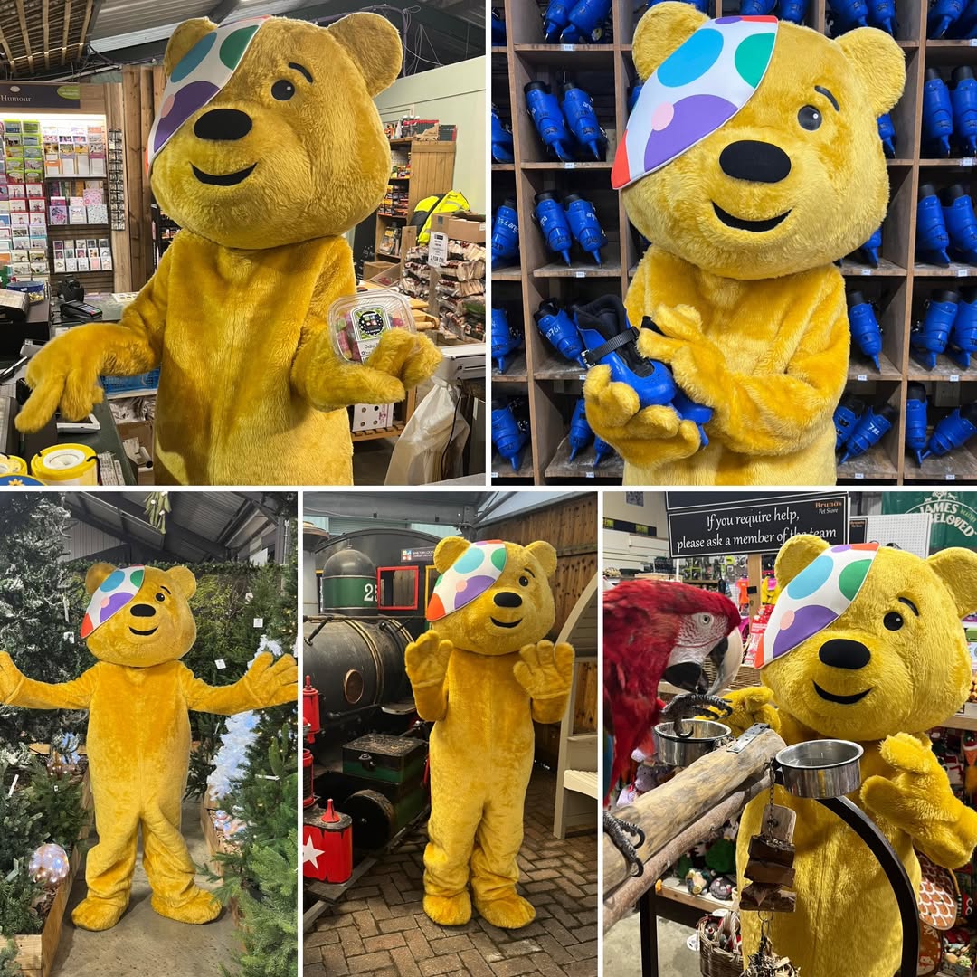 children in need at whilton locks garden centre