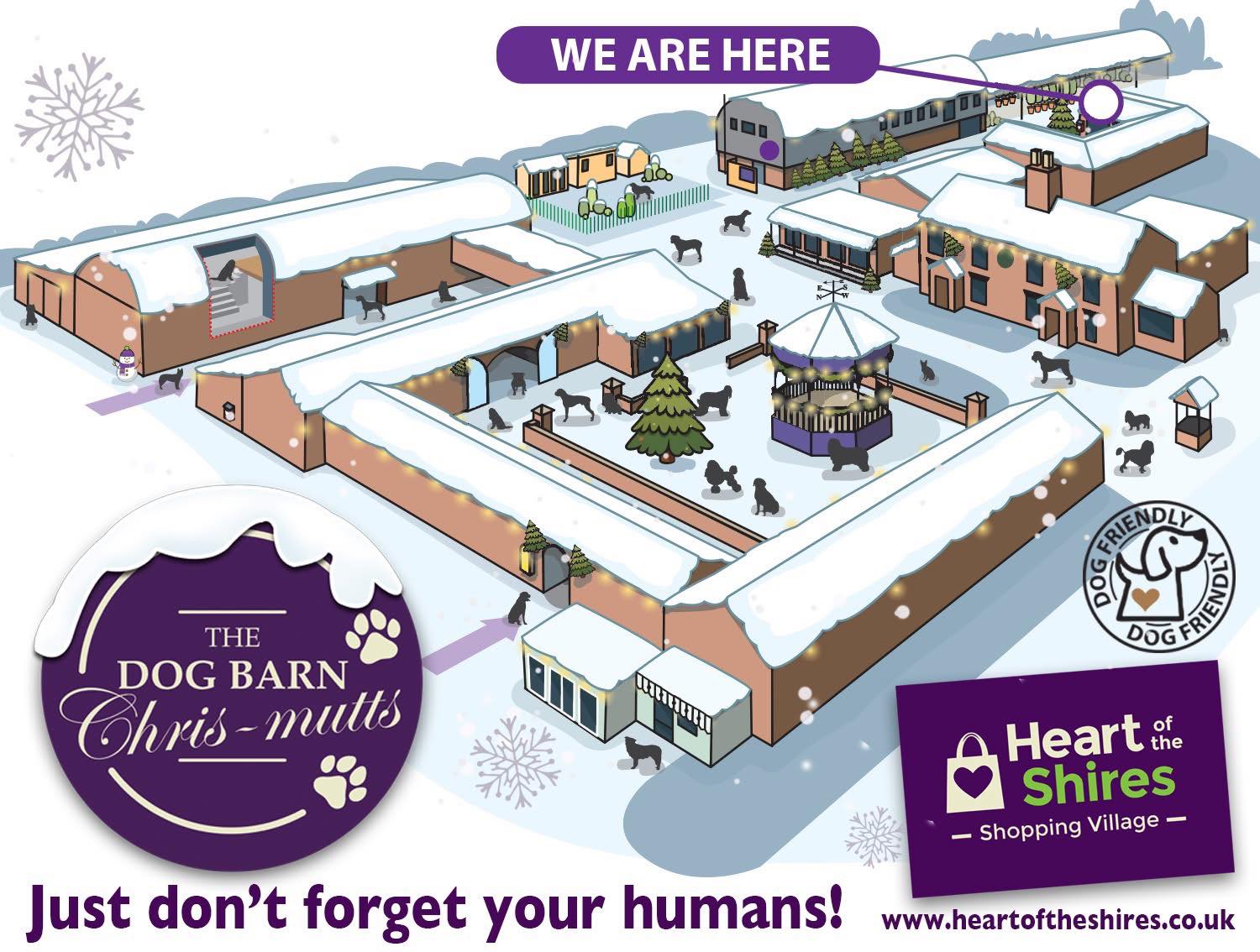 The Dog Barn at Heart of the Shires