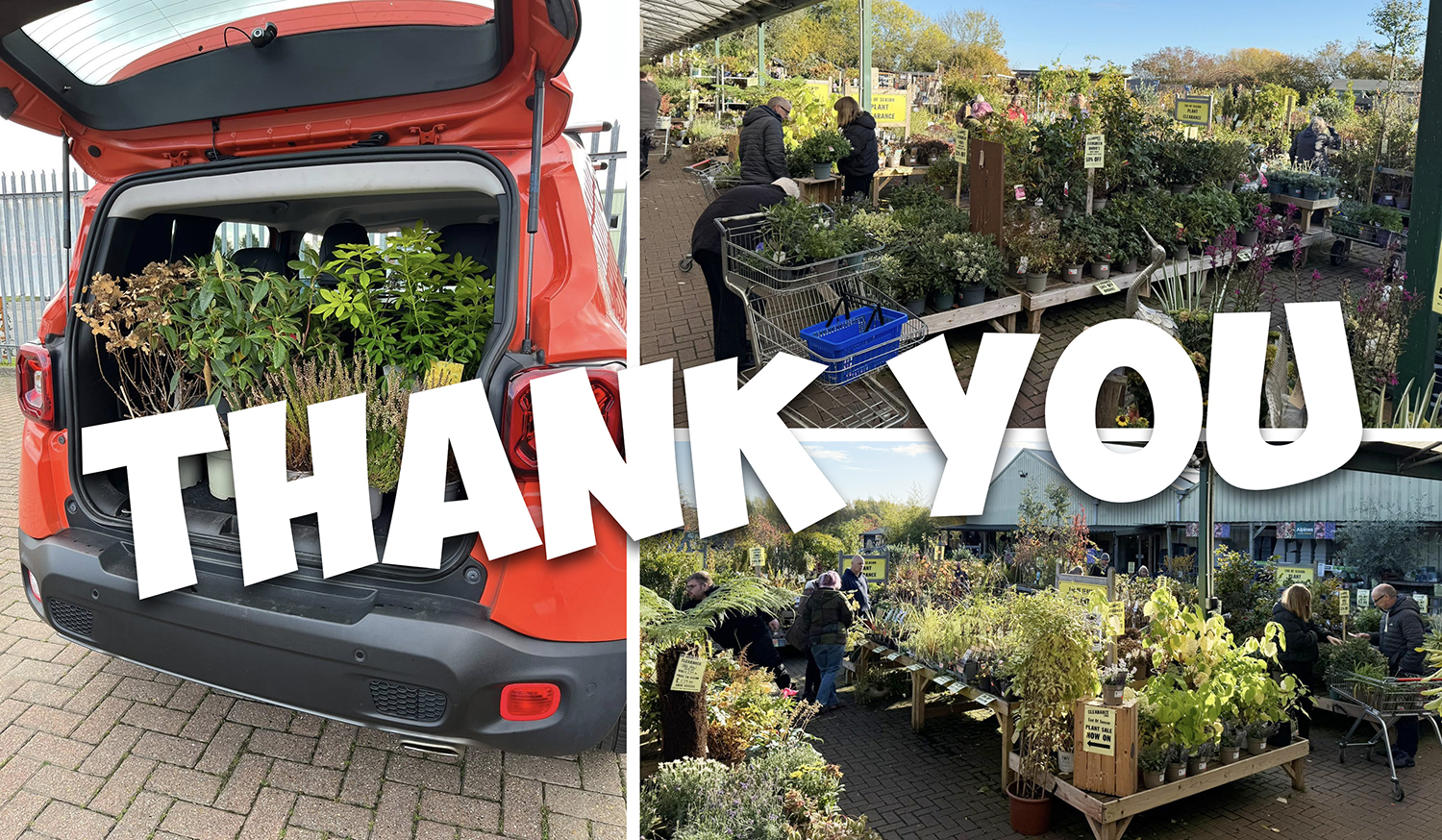 whilton locks plant sale