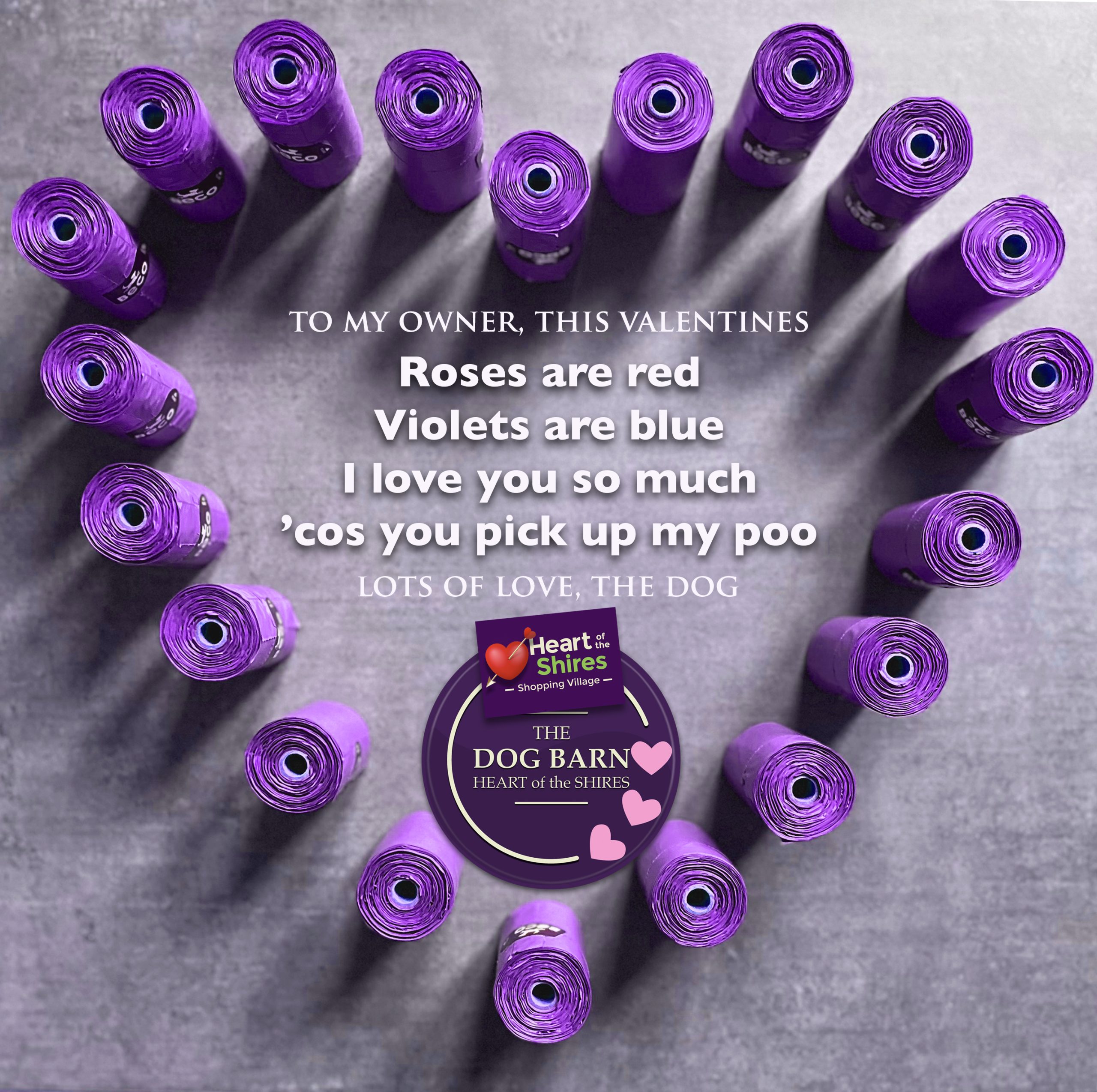 The Dog Barn at Heart of the Shires