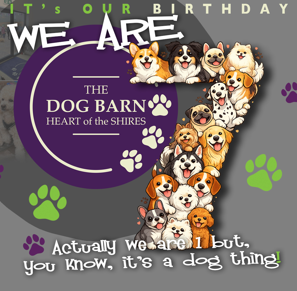 The Dog Barn at Heart of the Shires