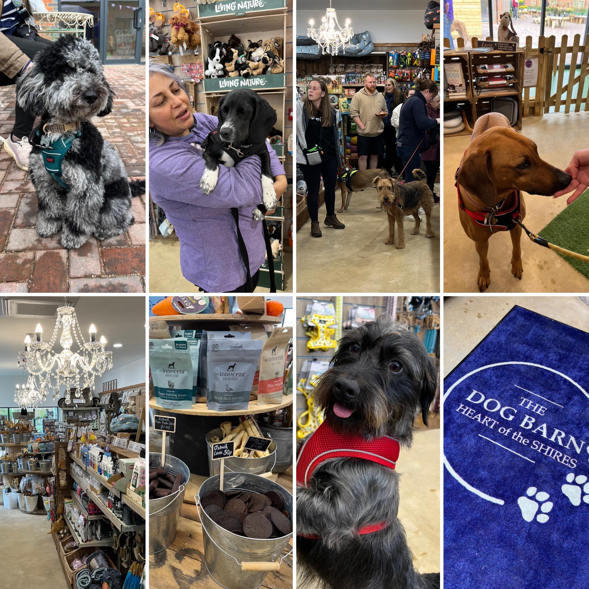 The Dog Shop at Heart of the Shires
