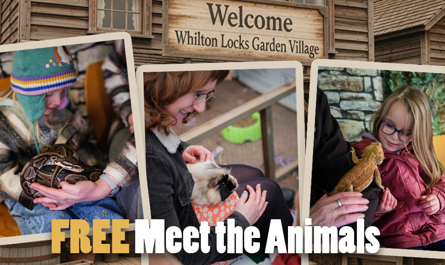 Marketing Whilton Locks Garden Centre 