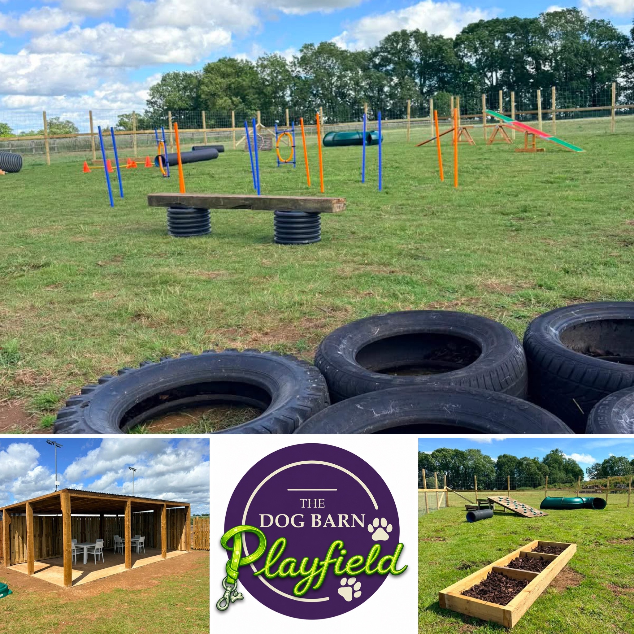 heart of the shires dog play field