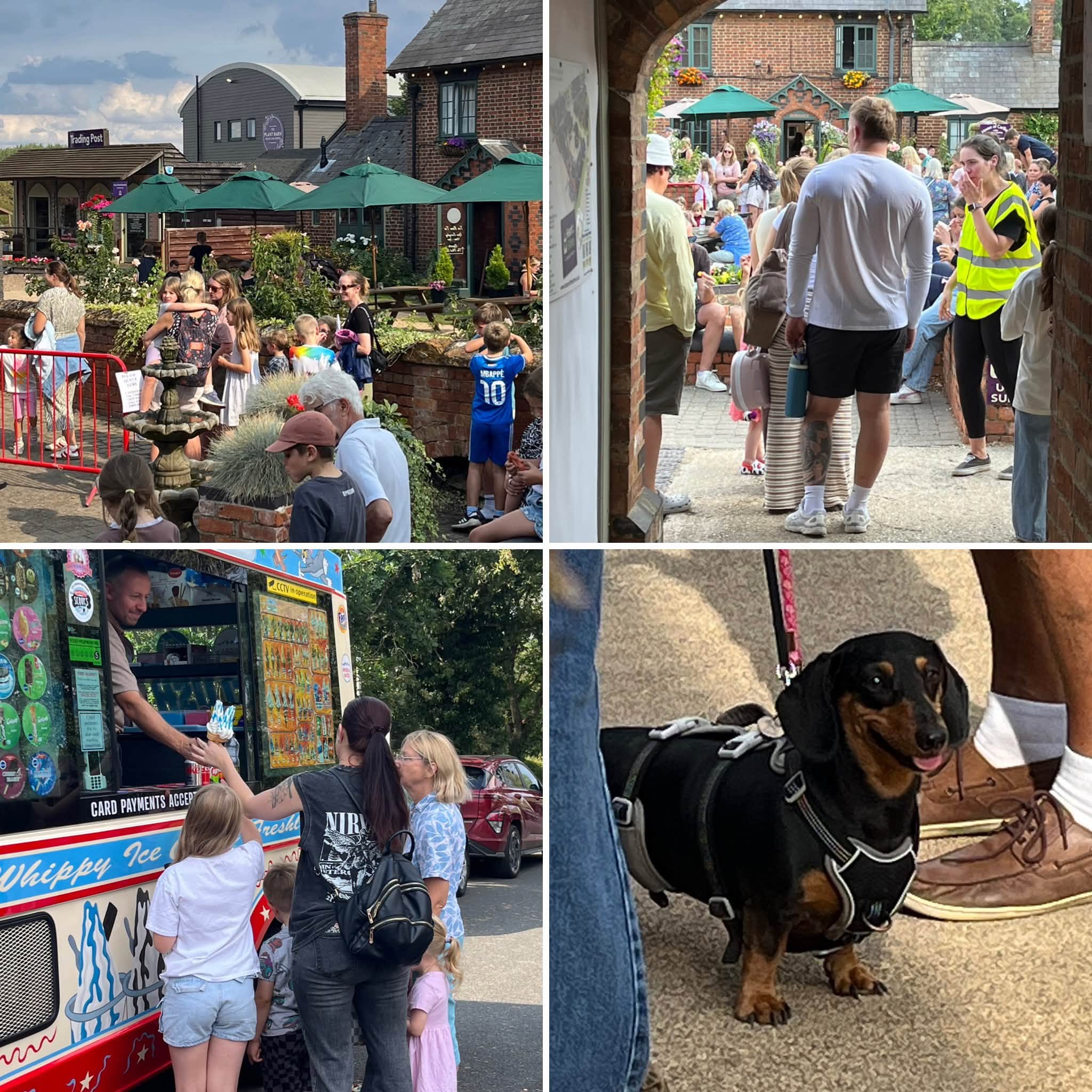 Heart of the Shires Meet the Animals