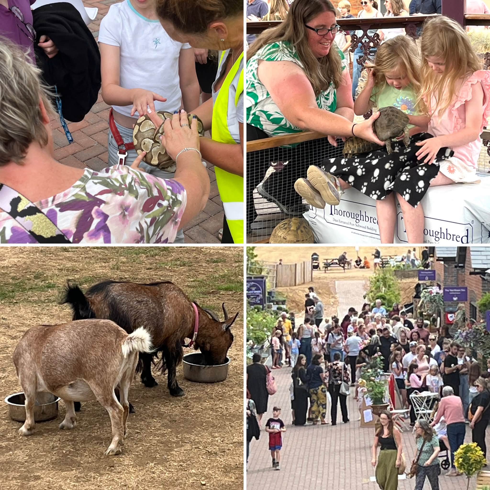 Heart of the Shires Meet the Animals