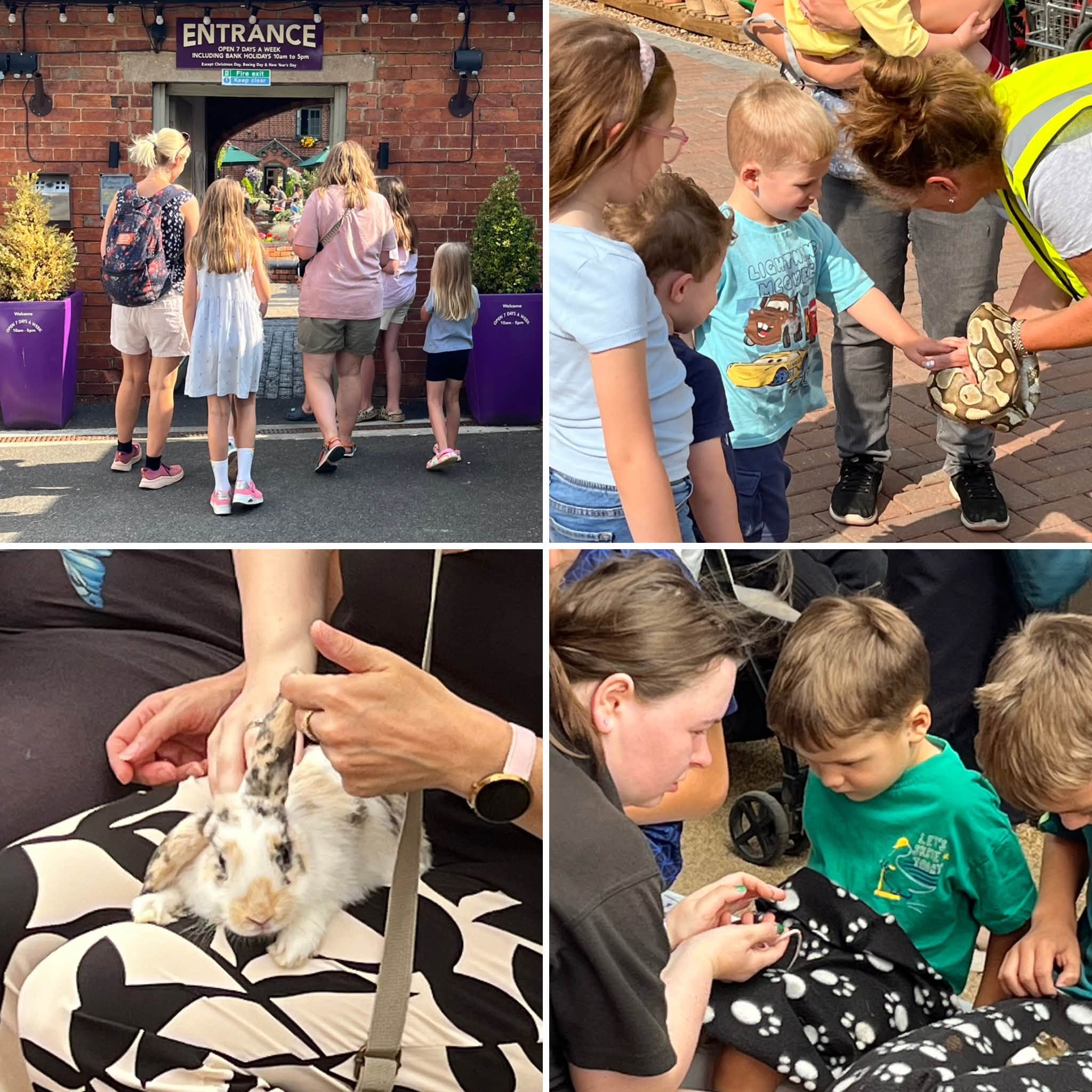 Heart of the Shires Meet the Animals